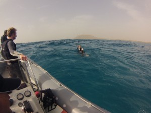 DCIM100GOPRO