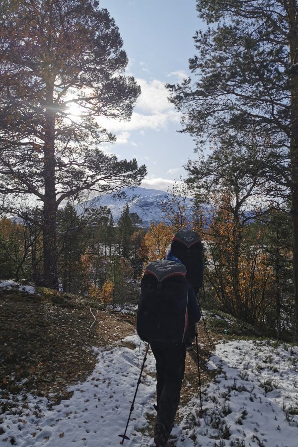 The hike towards Storsnasen goes through beautiful mountain-close nature.