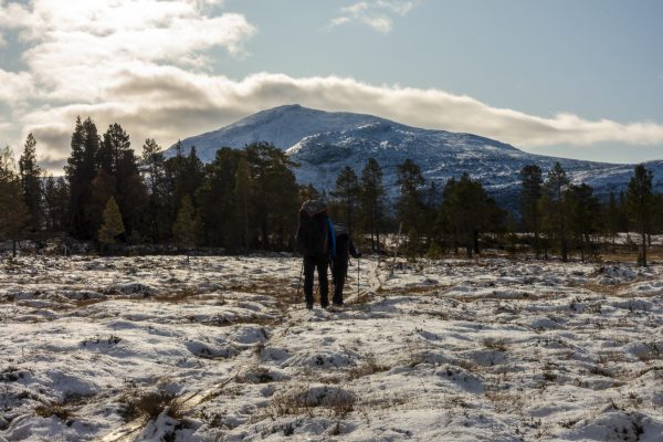 Storsnasen is the destination for a guided fjäll hike from Åre with Adventure with Jonas