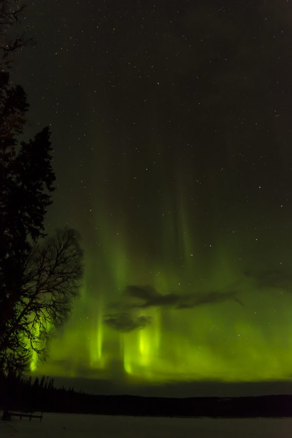 Evening outing in Åre for the whole family Wednesday April 5 at 20.00 pm - Image 5